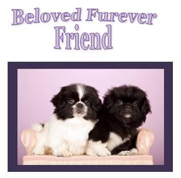 Beloved Furever Friend