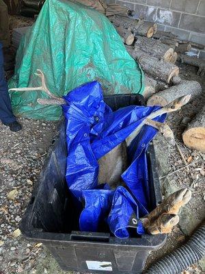 Pest Control Berkeley