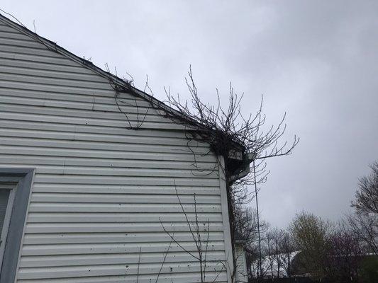 Pillar To Post Home Inspectors - Ryan French