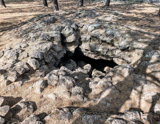 Opening for Mammoth Cave