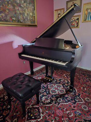 Rappaport's Piano Workshop