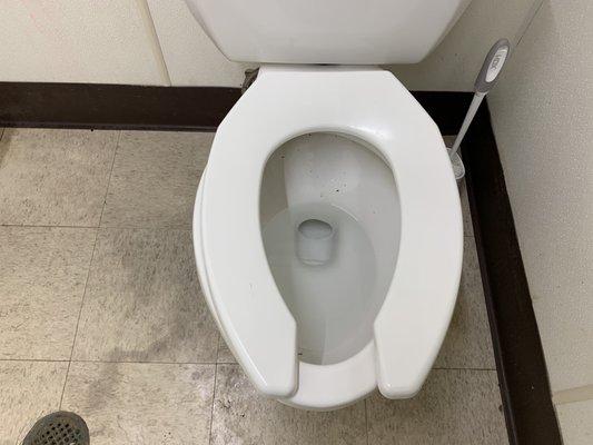 Dirty toilet