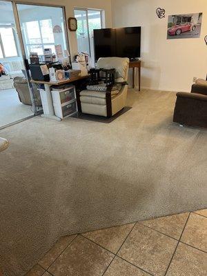 My newly cleaned carpet.