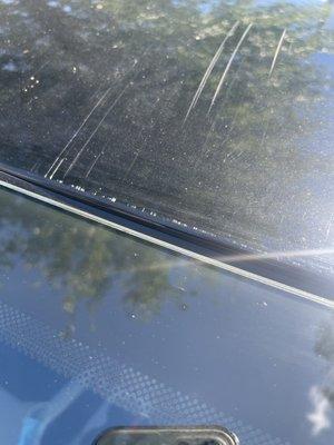 American Auto GLass