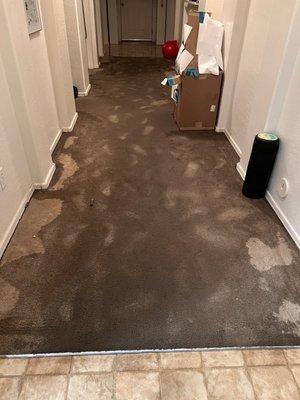 Silverton Restoration & Contracting