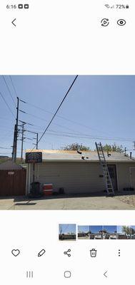 R & D Termite and Pest Control