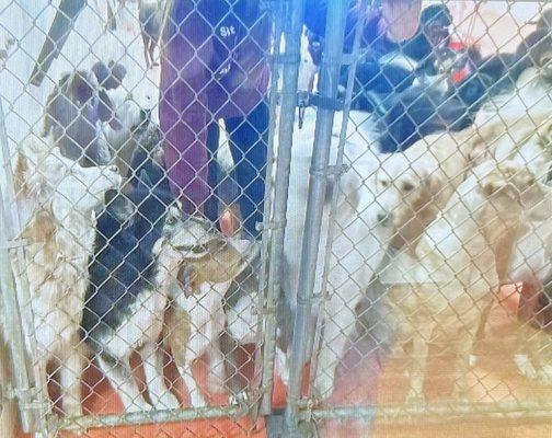 I'll gather together