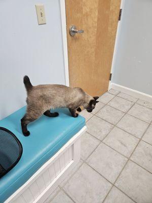 San Pablo Animal Hospital