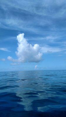 World Sailing Adventures