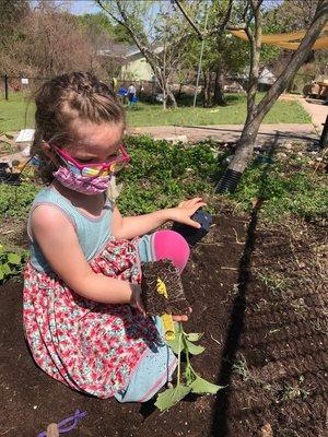 Los Amiguitos, Immersion, Nature and Community School