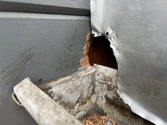 El Gato Rodent Proofing