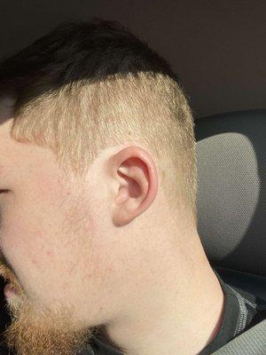 Duane's Barber Shop