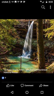 Bankhead National Forest