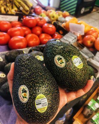 Avocados! They are Huge!