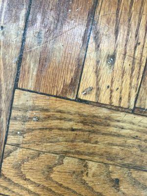 Stallard & Associates