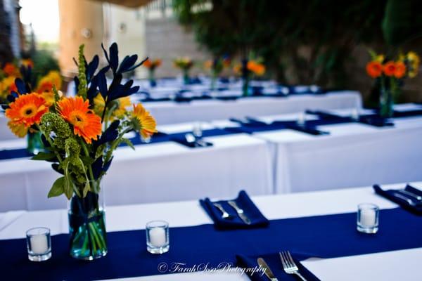 Tropico de Nopal Gallery Art-Space