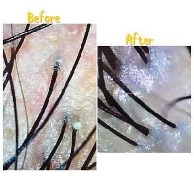 Organic Head Spa By Arisa