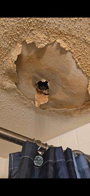 Picture of bathroom ceiling, that started in 2021. MANGEMENT and Maintenance made aware numerous time. To many .Nothing was done unti 2023,