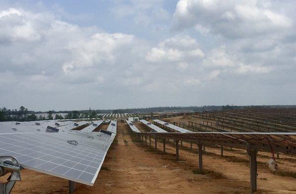 Magnolia Land & Timber