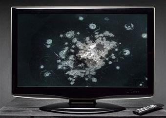 West Chester Electronics