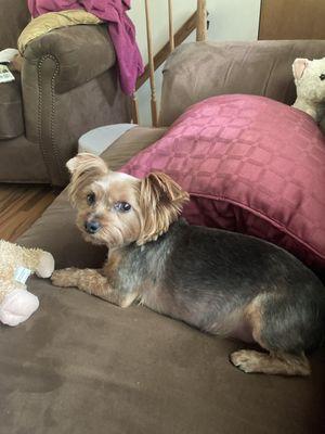 I love my new cool do