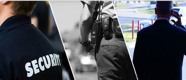 Defensa Private Security