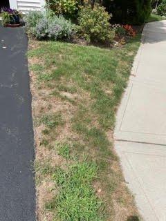 McKinney Landscaping