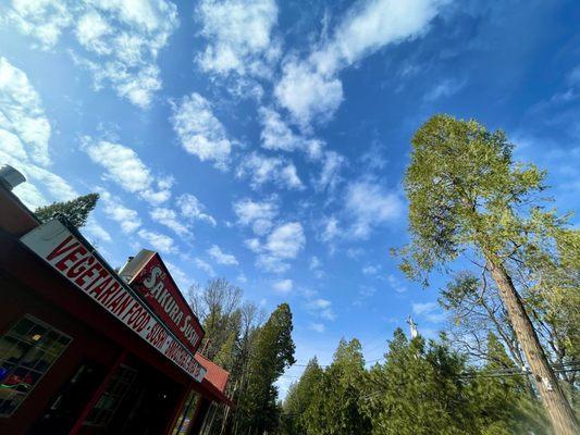 The Outside of the Restaurant