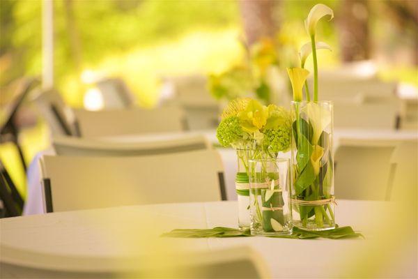 Toxikc Colour Visuals