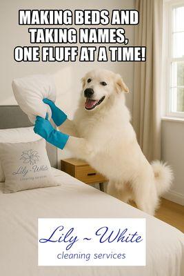 Lily-White Cleaning Services