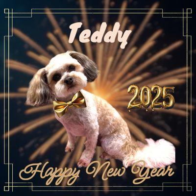 Kira’s Mobile Grooming