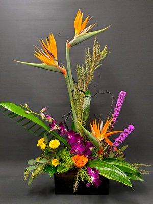 Brown's Botanicals