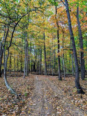 Royalton Ravine County Park
