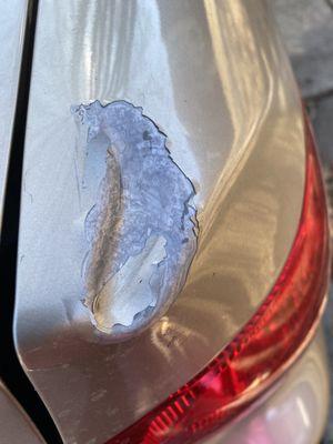 Leader Auto Repair