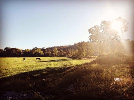 Sheridan Creek Outfitters