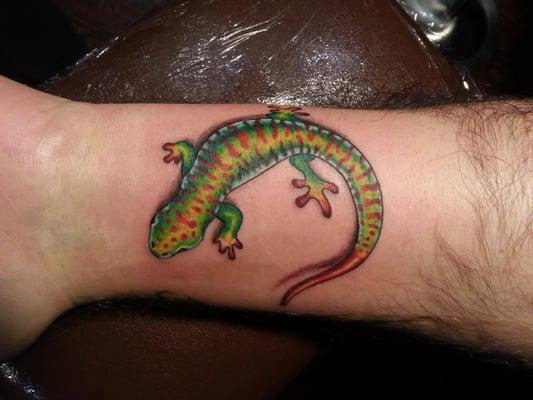 Great Gecko done by Matt!
