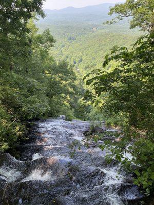 Forrest Hills Resort