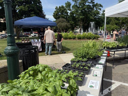 Plymouth Farmers Market