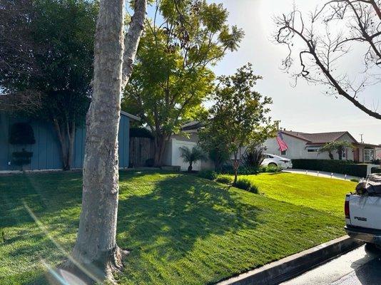 Prolific Landscaping