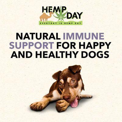 Happy Healthy Dogs!