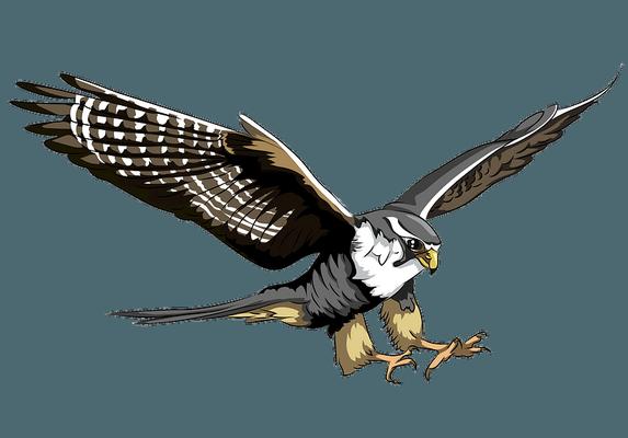 Peregrine Global Holdings