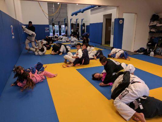 Coyote Brazilian Jiu-Jitsu Academy
