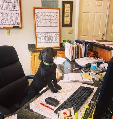 4 Seasons Storage & Rentals