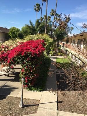 El Cortez Apartments