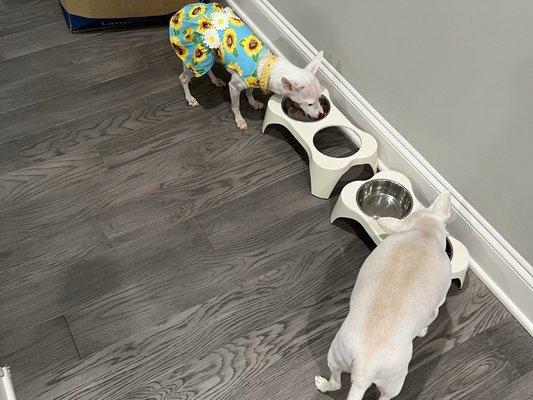 Loving Touch Pet Salon