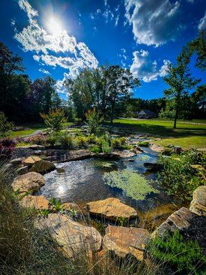Wetland filtration for ecosystem swim pond