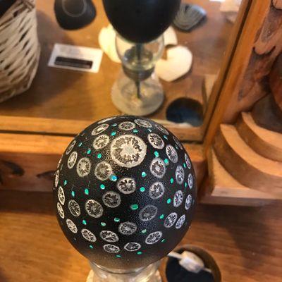 Carved Emu Egg