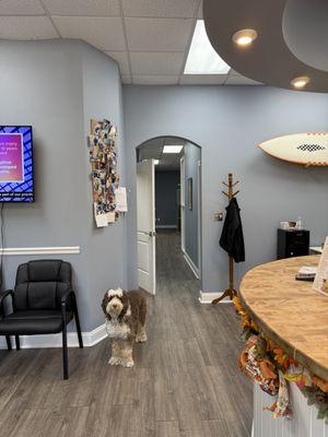 Hampstead Chiropractic