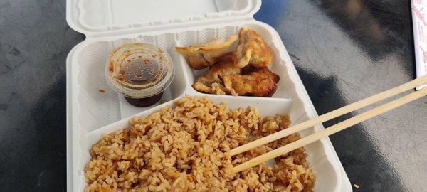 bland pork dumplings and slightly undercooked rice
