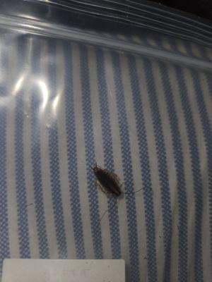 S & M Building Management